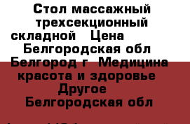 Стол массажный трехсекционный складной › Цена ­ 6 500 - Белгородская обл., Белгород г. Медицина, красота и здоровье » Другое   . Белгородская обл.